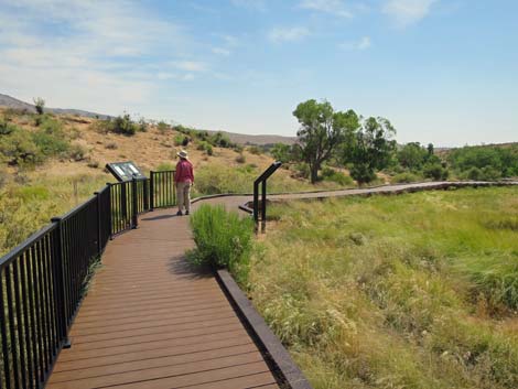 Red Spring Boardwalk