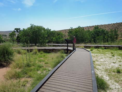 Red Spring Boardwalk