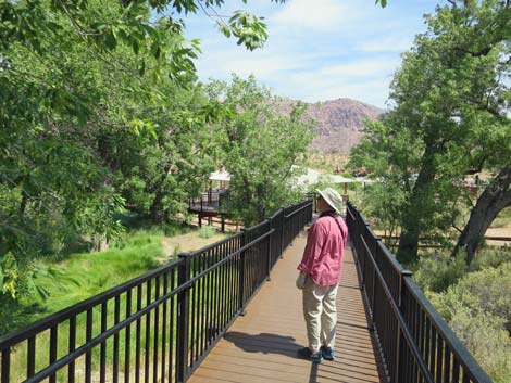 Red Spring Boardwalk