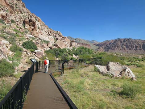 Red Spring Boardwalk