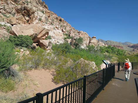 Red Spring Boardwalk Trail