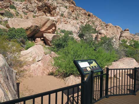 Red Spring Boardwalk Trail