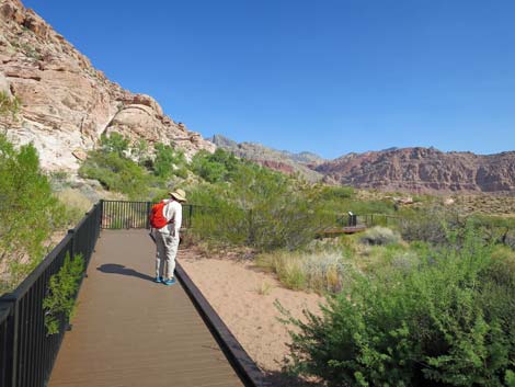 Red Spring Boardwalk