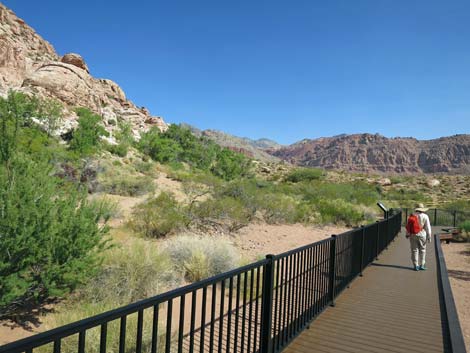 Red Spring Boardwalk Trail