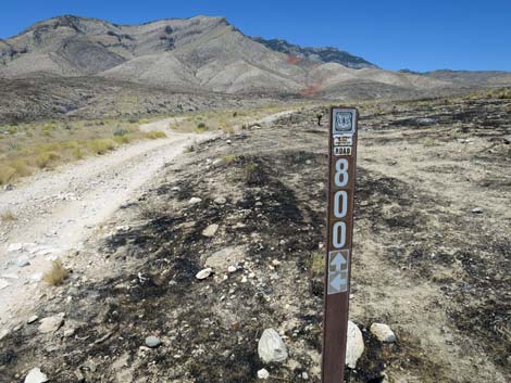 Ninetynine Mine Road