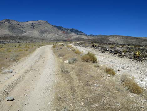 Ninetynine Mine Road