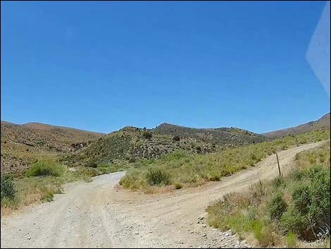 Cottonwood Valley Road