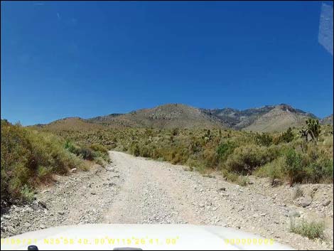 Cottonwood Valley Road