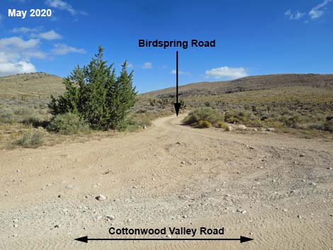 Cottonwood Valley Road