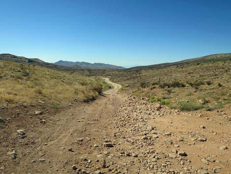 Backroads Around Las Vegas, Red Rock Canyon NCA, Cottonwood Valley Road