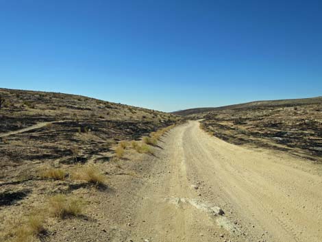 Cottonwood Valley Road