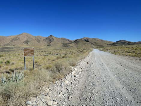 Cottonwood Valley Road