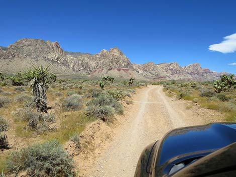 Lone Grapevine Road