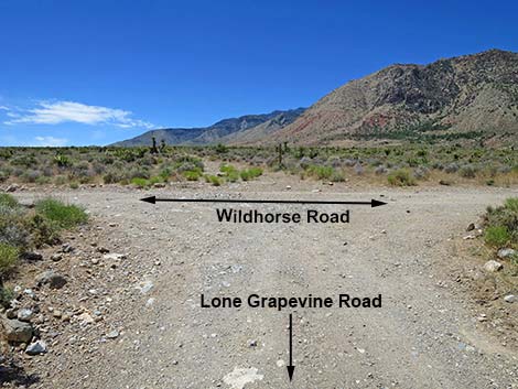 Lone Grapevine Road