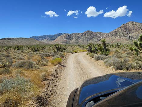 Lone Grapevine Road