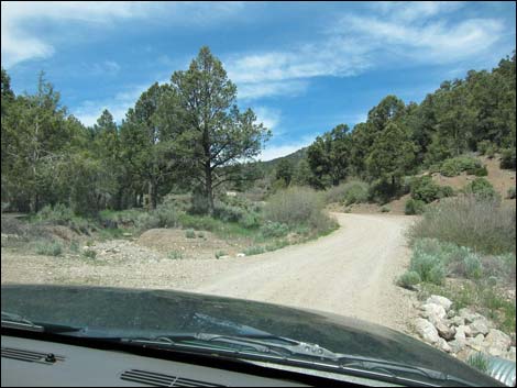 Lovell Canyon Road