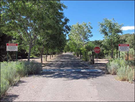 Lovell Canyon Road