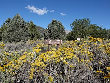 Lovell Canyon Road