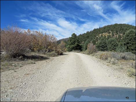 Lovell Canyon Road