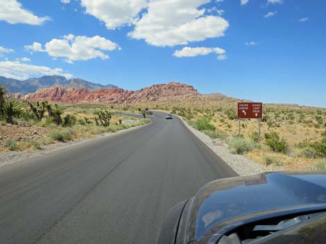 Scenic Loop Road