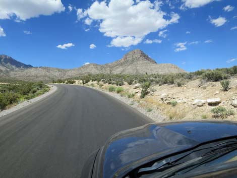 Scenic Loop Road