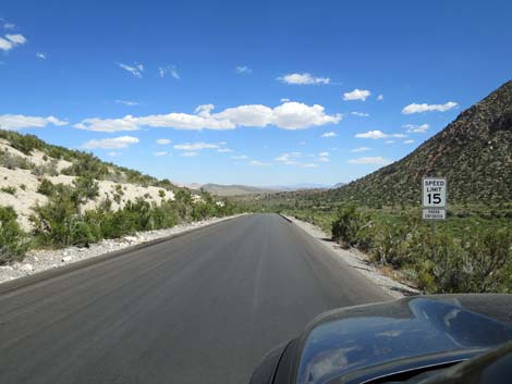 Scenic Loop Road