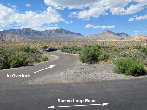 Red Rock Wash Overlook