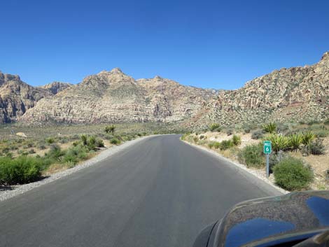 Scenic Loop Road