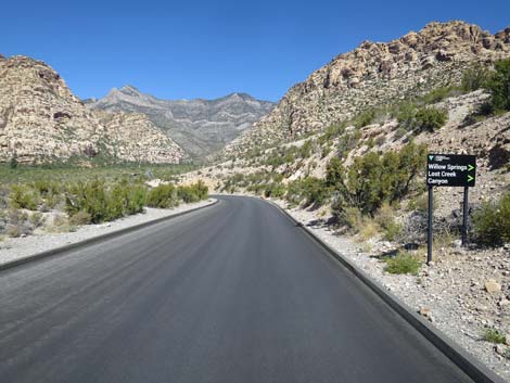 Scenic Loop Road