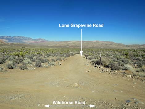 Wildhorse Road