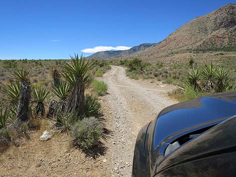 Wildhorse Road