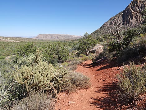 SMYC Trail