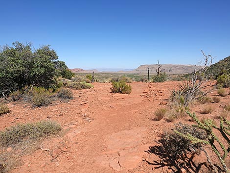 SMYC Trail