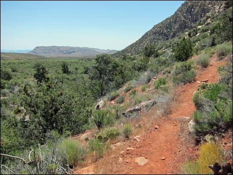 Escarpment Route