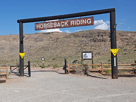 Hiking Around Las Vegas, Red Rock Canyon NCA, Cowboy Trail