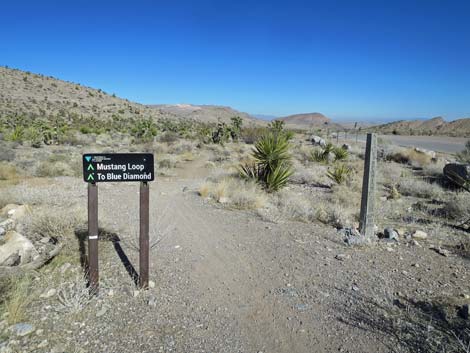 Late Night Trailhead