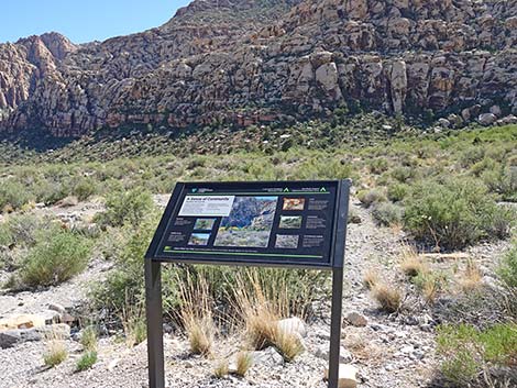 Children's Discovery Trailhead