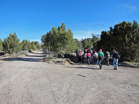 Mountain Springs Trailhead