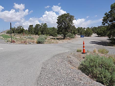 Mountain Springs Trailhead