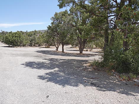 Mountain Springs Trailhead