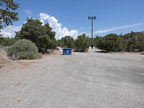 Mountain Springs Trailhead