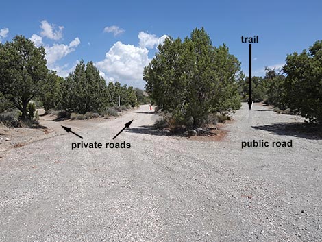 Mountain Springs Trailhead