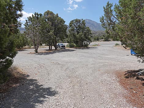 Mountain Springs Trailhead