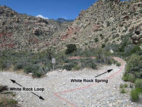 White Rock Spring Trail