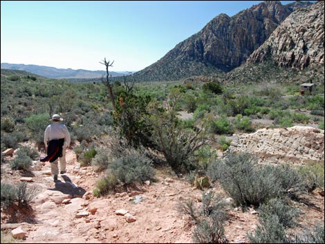 Willow Springs Loop