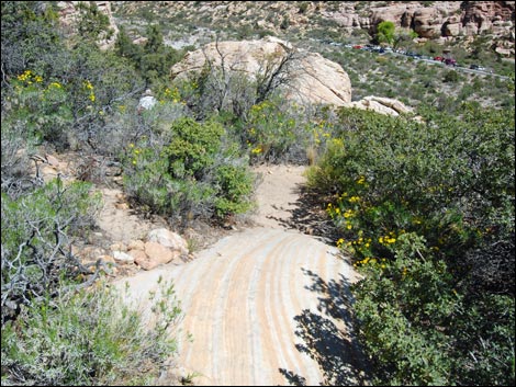 Willow Springs Loop