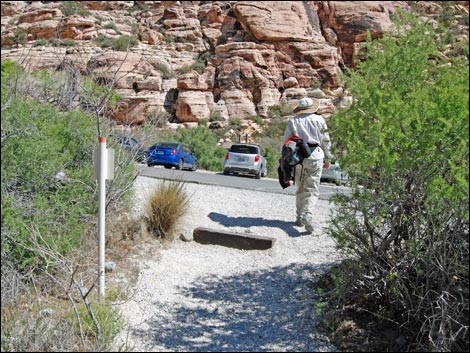 Willow Springs Loop