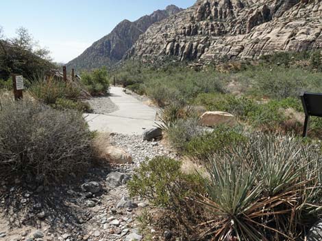 Willow Springs Loop Trail