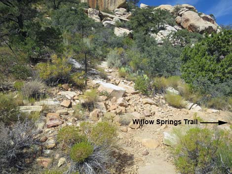 Willow Springs Loop