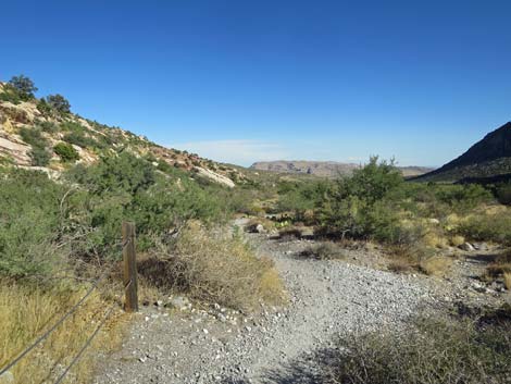 Willow Springs Loop